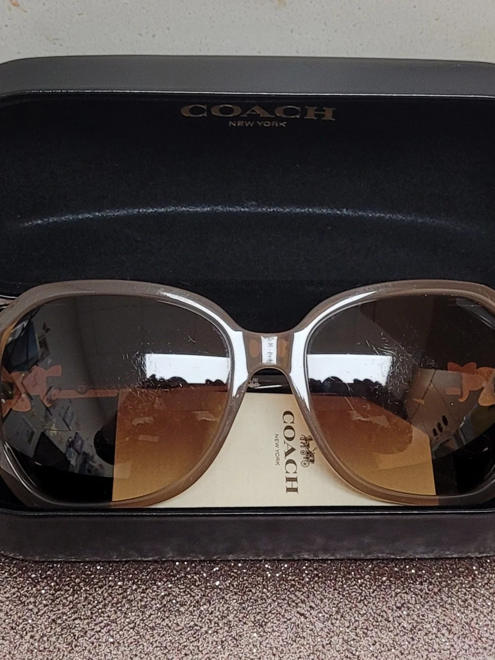Coach Women's Brown Transparent Frame Sunglasses with Brown Lenses